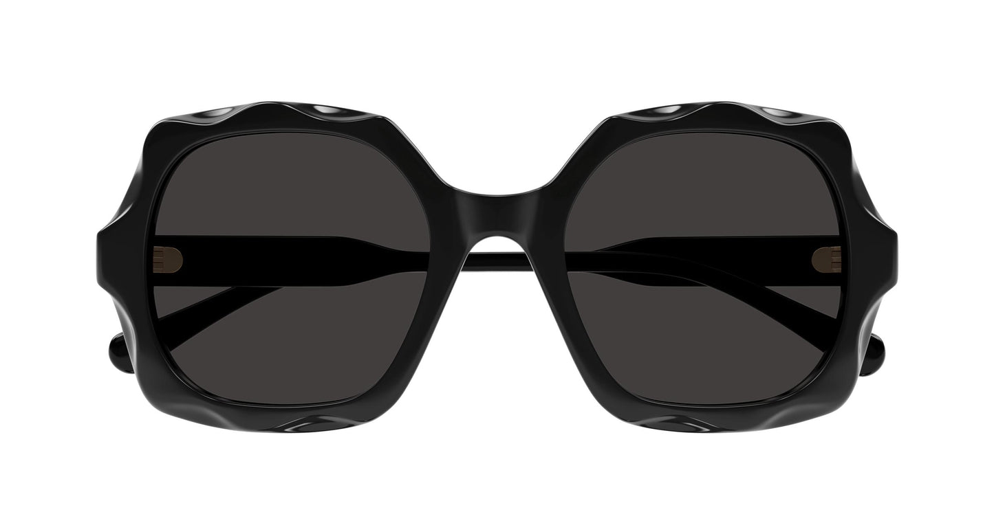 Chloé CH0226S 005 53