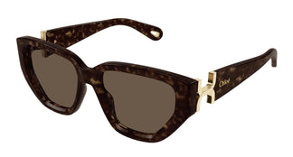 Chloé CH0235S 002 55
