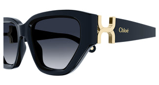 Chloé CH0235S 003 55