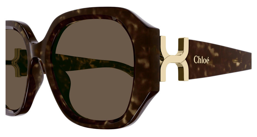 Chloé CH0236S 002 56