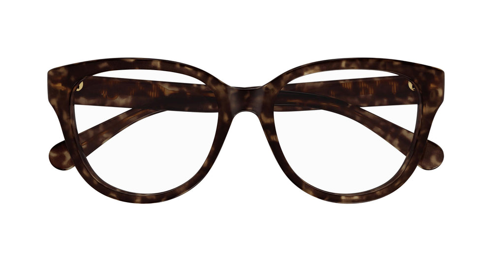 Chloé CH0243O 006 53