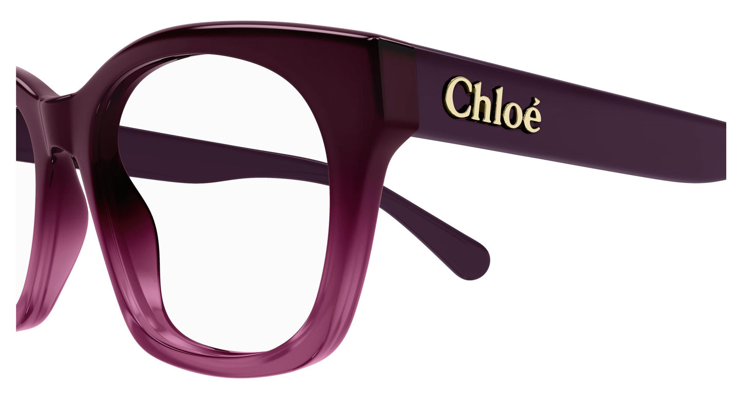 Chloé CH0244O 007 52