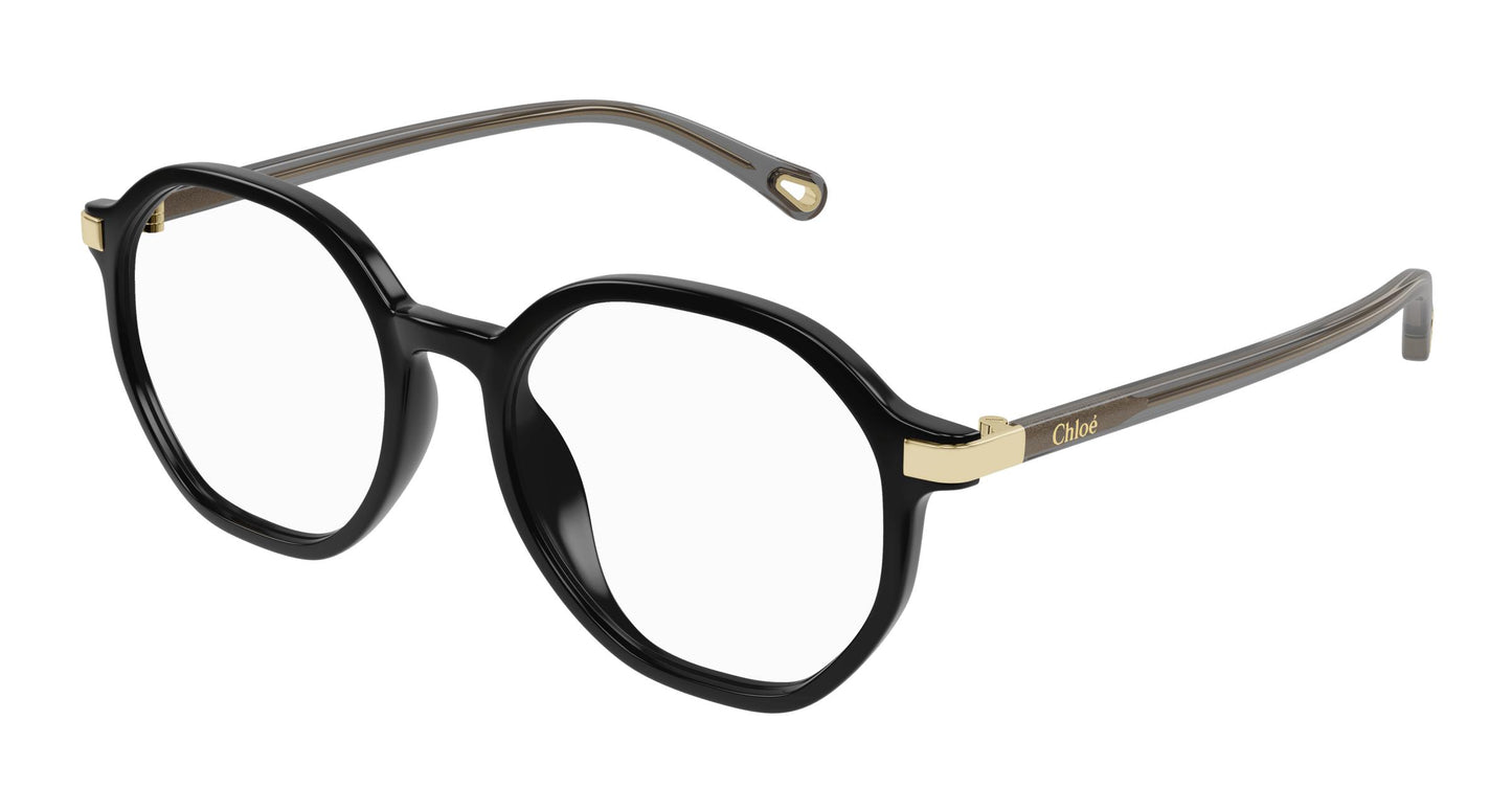Chloé CH0249OA 001 53