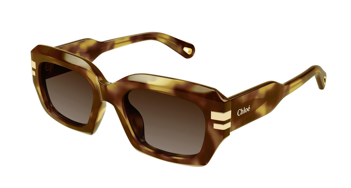 Chloé CH0256S 002 53