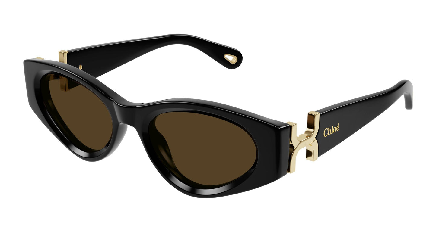 Chloé CH0259S 001 52
