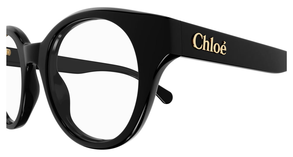 Chloé CH0271O 001 47
