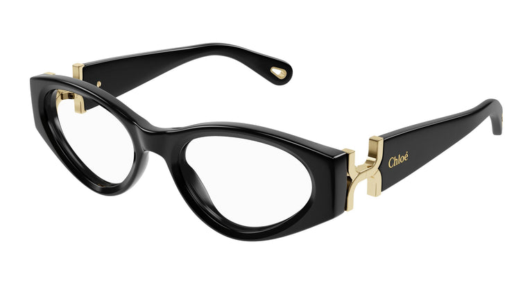 Chloé CH0273O 001 53