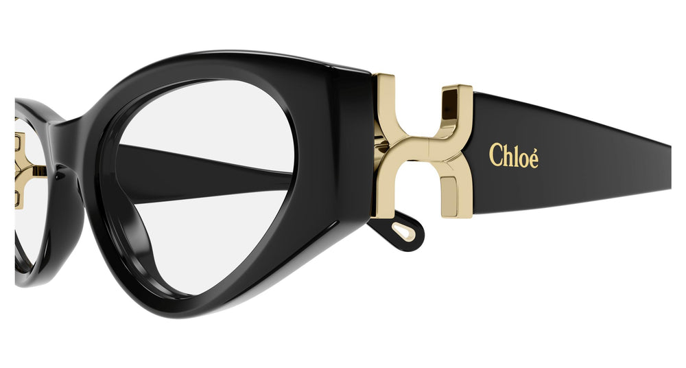 Chloé CH0273O 001 53
