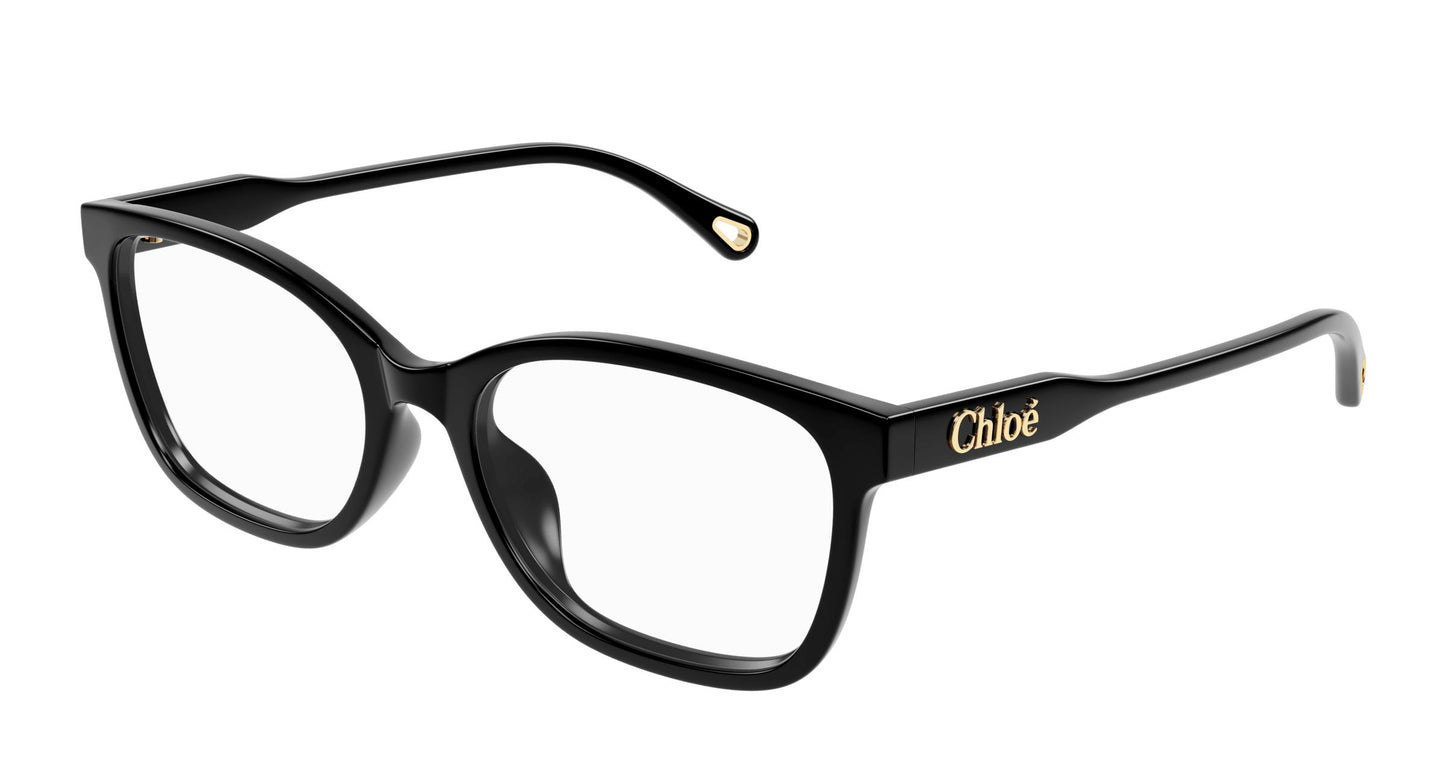 Chloé CH0276OA 001 54