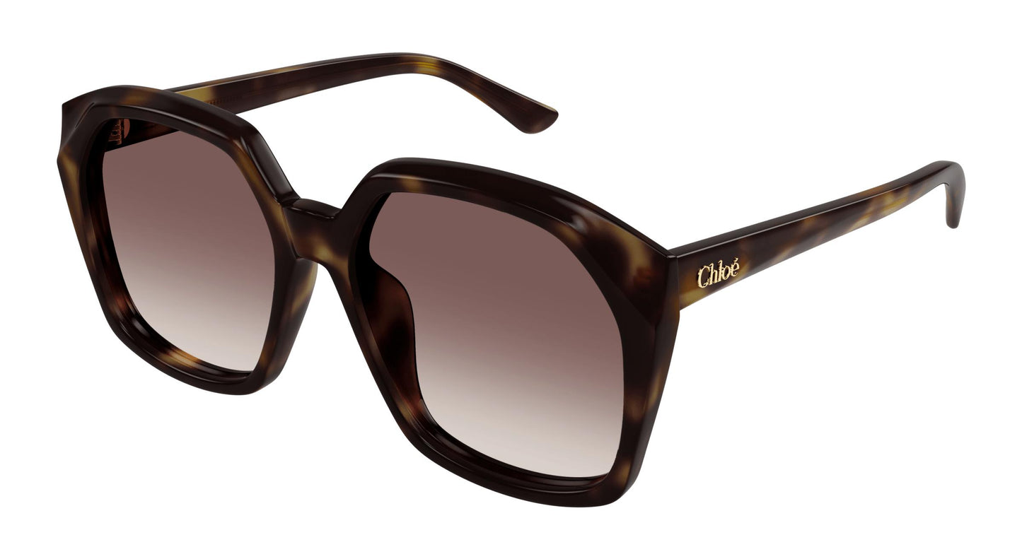 Chloé CH0280S 006 57