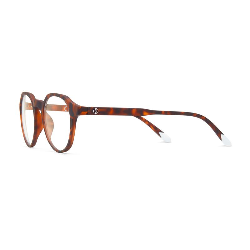 Barner Chamberi Tortoise
