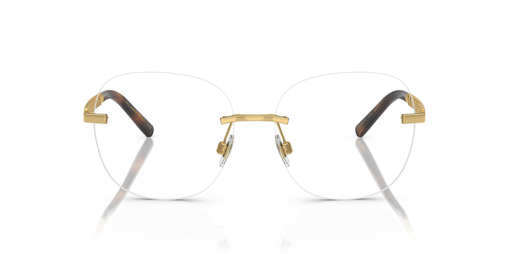 Dolce&amp;Gabbana DG1352 02 56