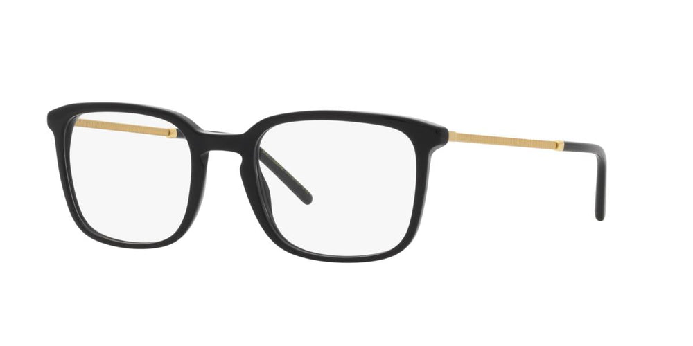 Dolce e Gabbana DG3349 501 54