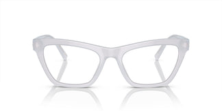 Dolce&Gabbana DG3359 3420 53