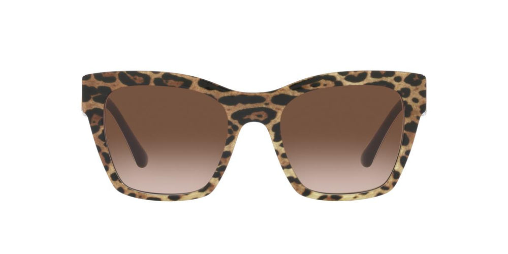 Dolce e Gabbana DG4384 316313 53