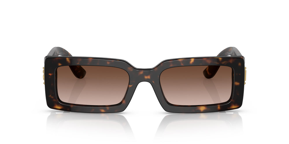Dolce e Gabbana DG4416 502/13 53