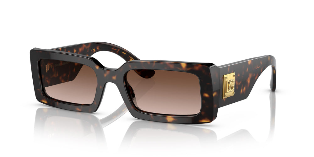 Dolce e Gabbana DG4416 502/13 53