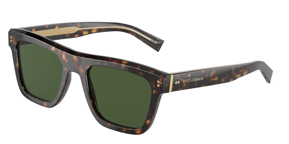 Dolce e Gabbana DG4420 502/71 52