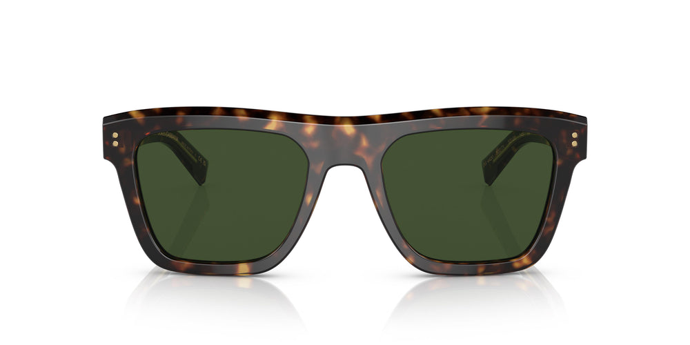 Dolce e Gabbana DG4420 502/71 52
