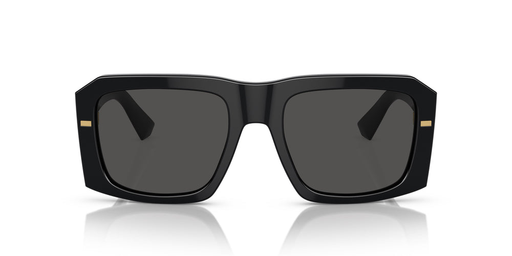 Dolce&Gabbana DG4430 501/87 54
