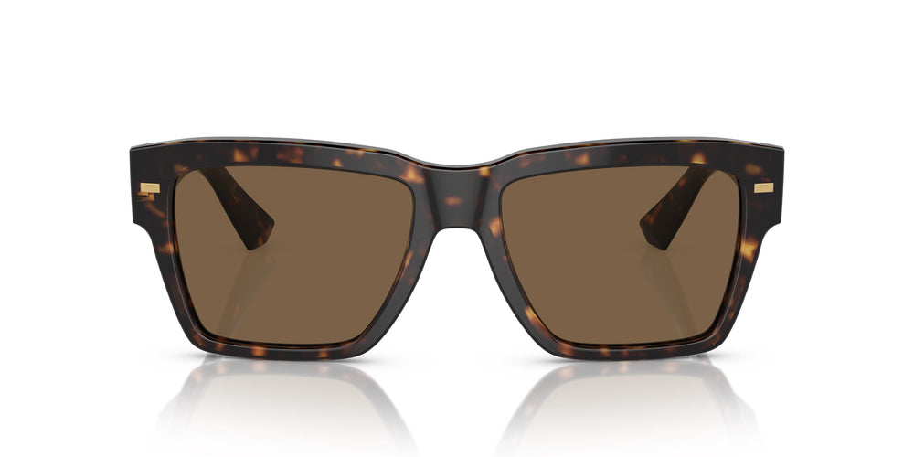 Dolce&amp;Gabbana DG4431 502/73 55