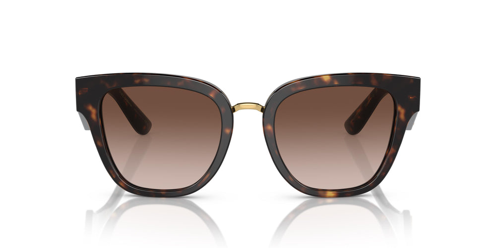 Dolce&Gabbana DG4437 502/13 51