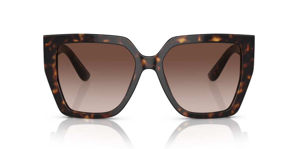 Dolce&Gabbana DG4438 502/13 55