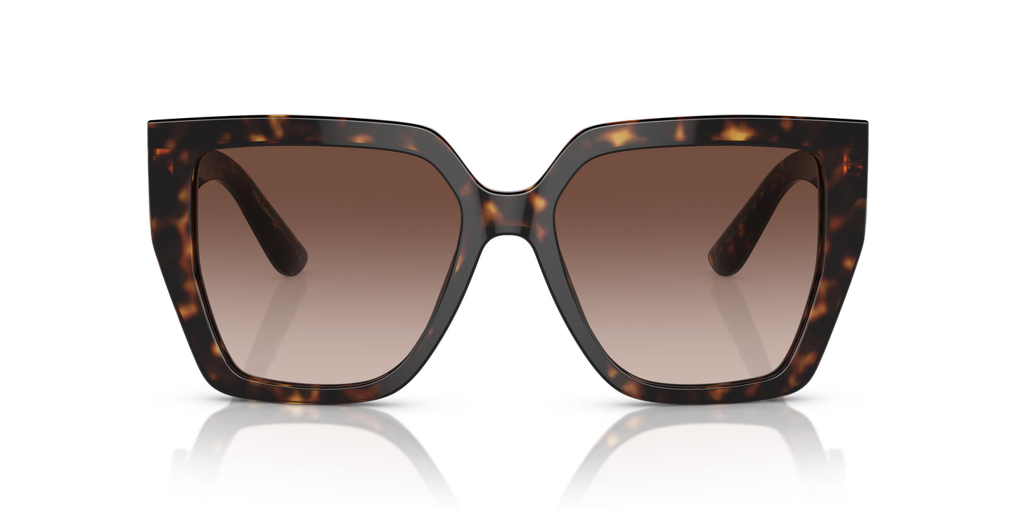 Dolce&Gabbana DG4438 502/13 55