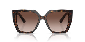Dolce&Gabbana DG4438 502/13 55