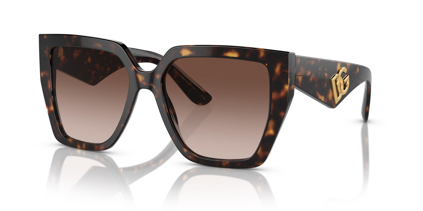 Dolce&Gabbana DG4438 502/13 55