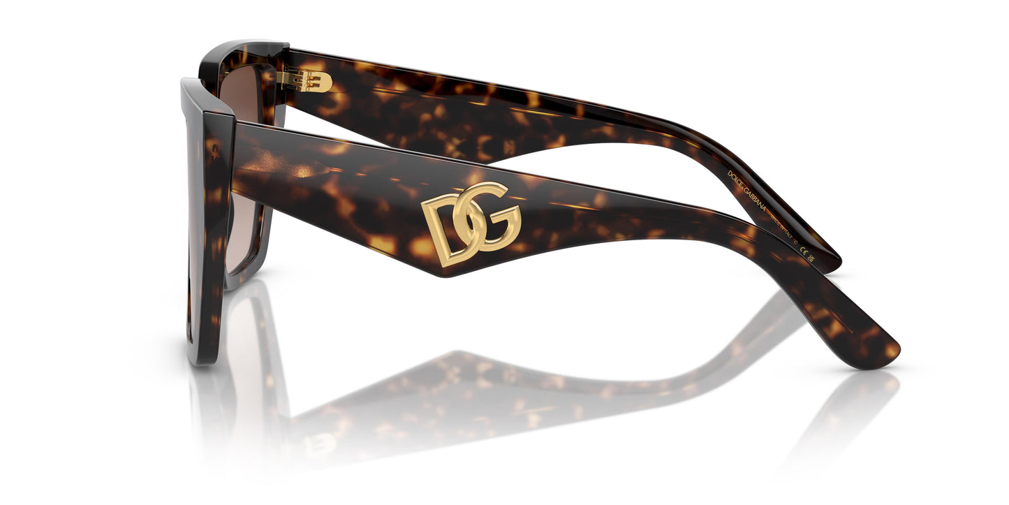 Dolce&Gabbana DG4438 502/13 55