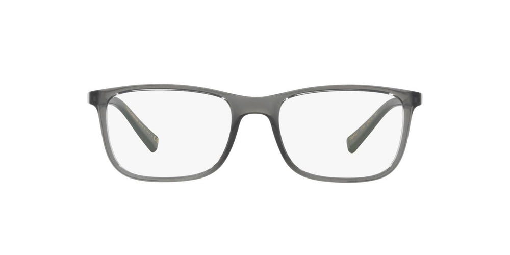 Dolce e Gabbana DG5027 - 3160 - Transparent Grey - 55 mm