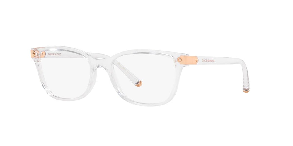 Dolce e Gabbana DG5036 3133 53