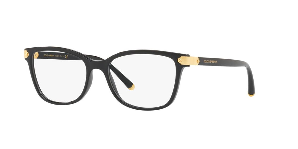 Dolce &amp; Gabbana DG5036 501 53