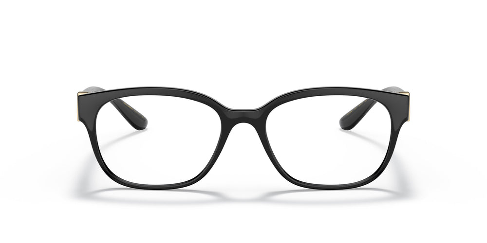 Dolce e Gabbana DG5066 501 54