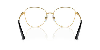 Dolce & Gabbana DG1355 1334 55