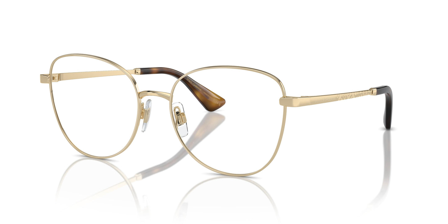 Dolce & Gabbana DG1355 1365 53
