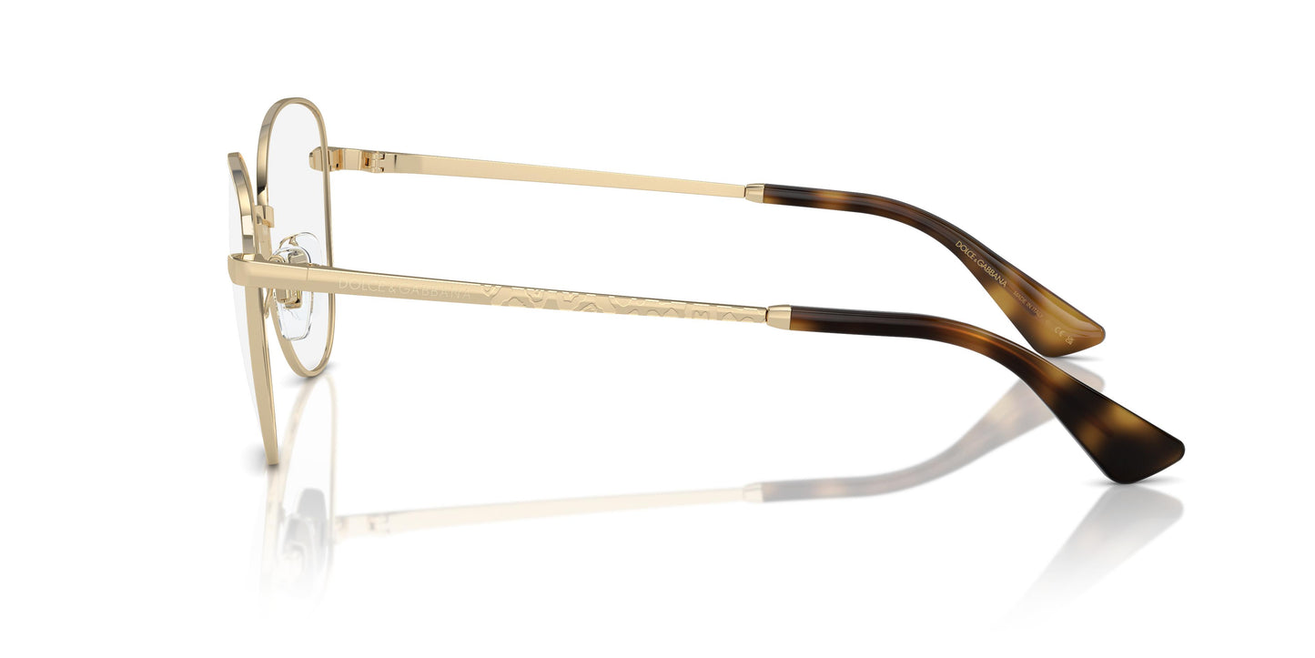 Dolce & Gabbana DG1355 1365 53