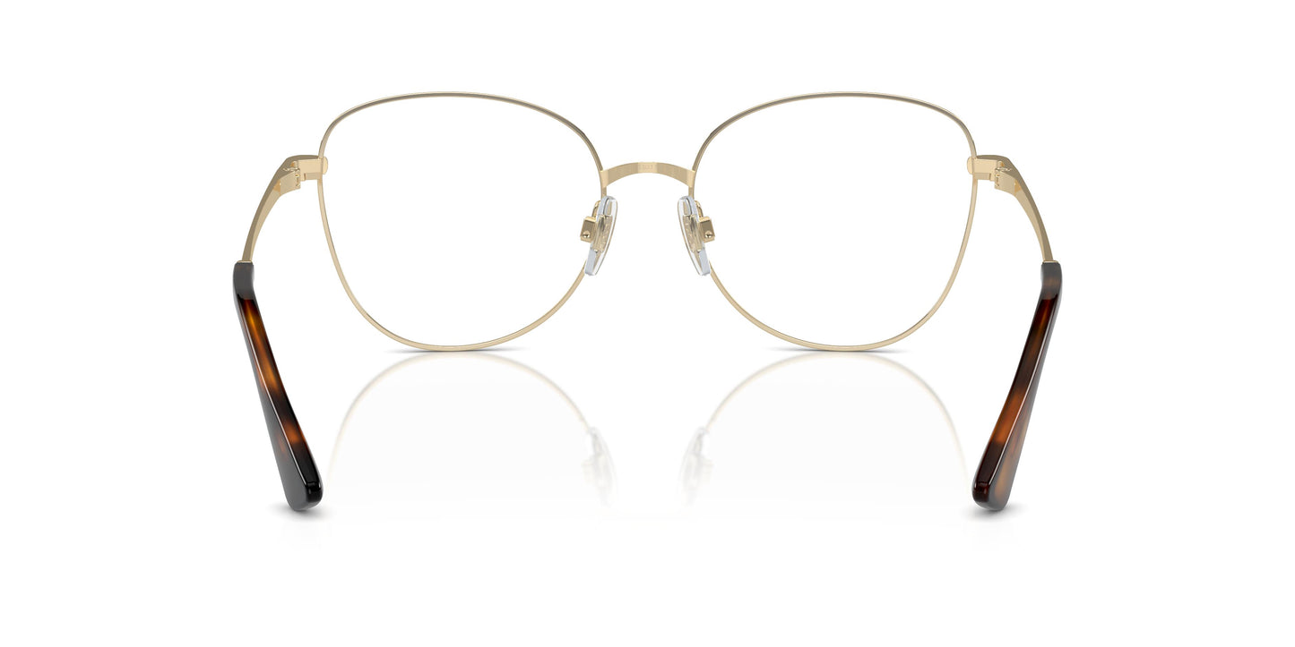 Dolce & Gabbana DG1355 1365 53