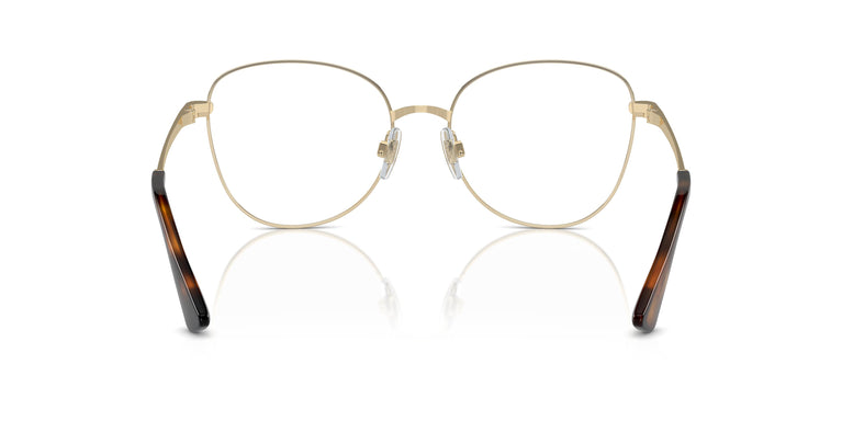 Dolce & Gabbana DG1355 1365 53
