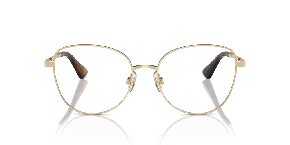 Dolce & Gabbana DG1355 1365 55