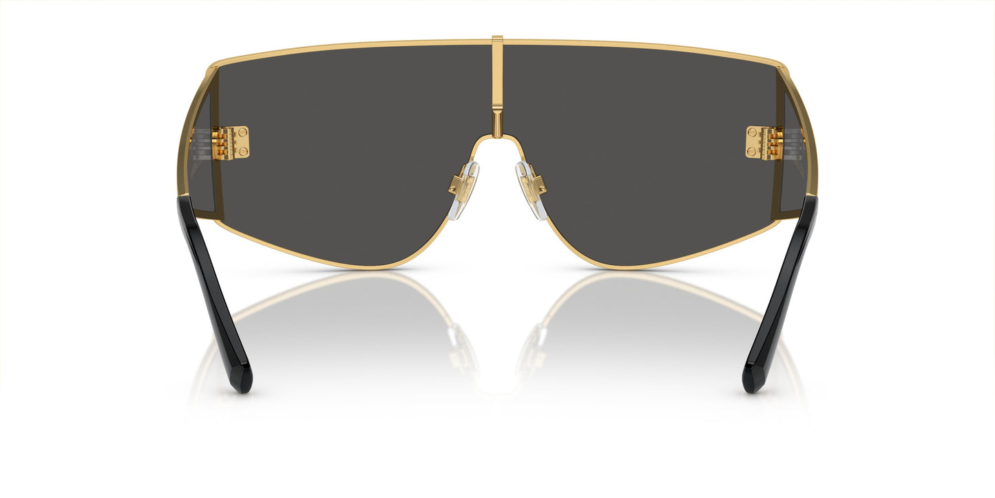 Dolce & Gabbana DG2305 02/87
