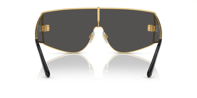 Dolce & Gabbana DG2305 02/87