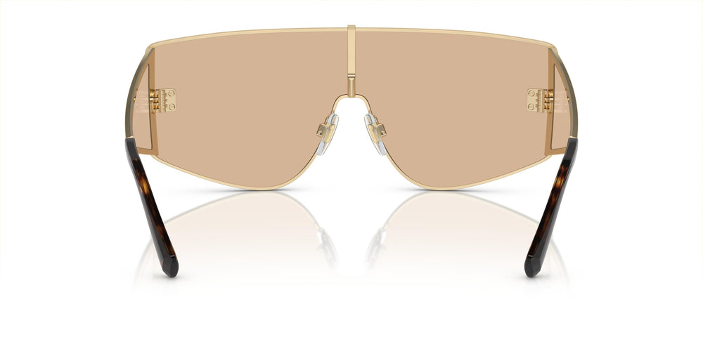 Dolce &amp; Gabbana DG2305 13655A