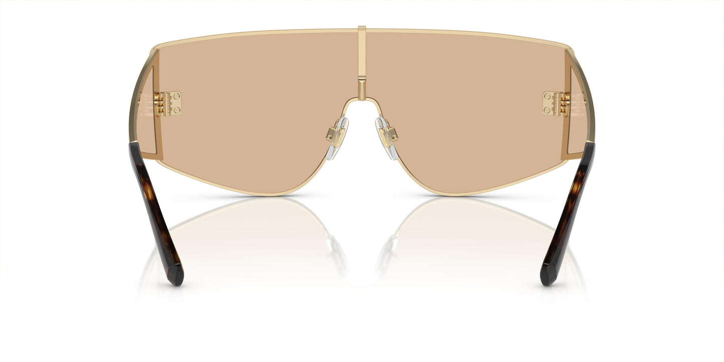 Dolce & Gabbana DG2305 13655A