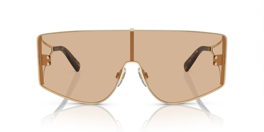 Dolce &amp; Gabbana DG2305 13655A