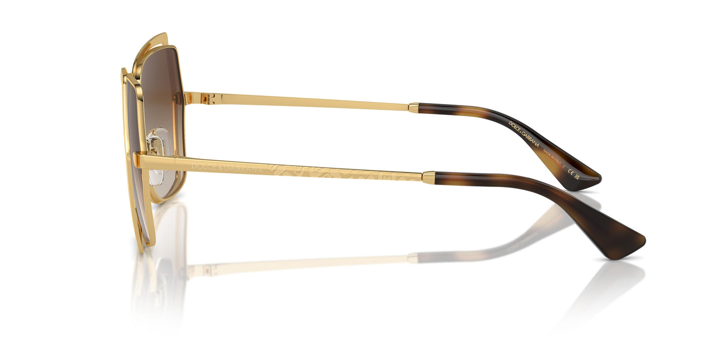 Dolce & Gabbana DG2306 02/13 55