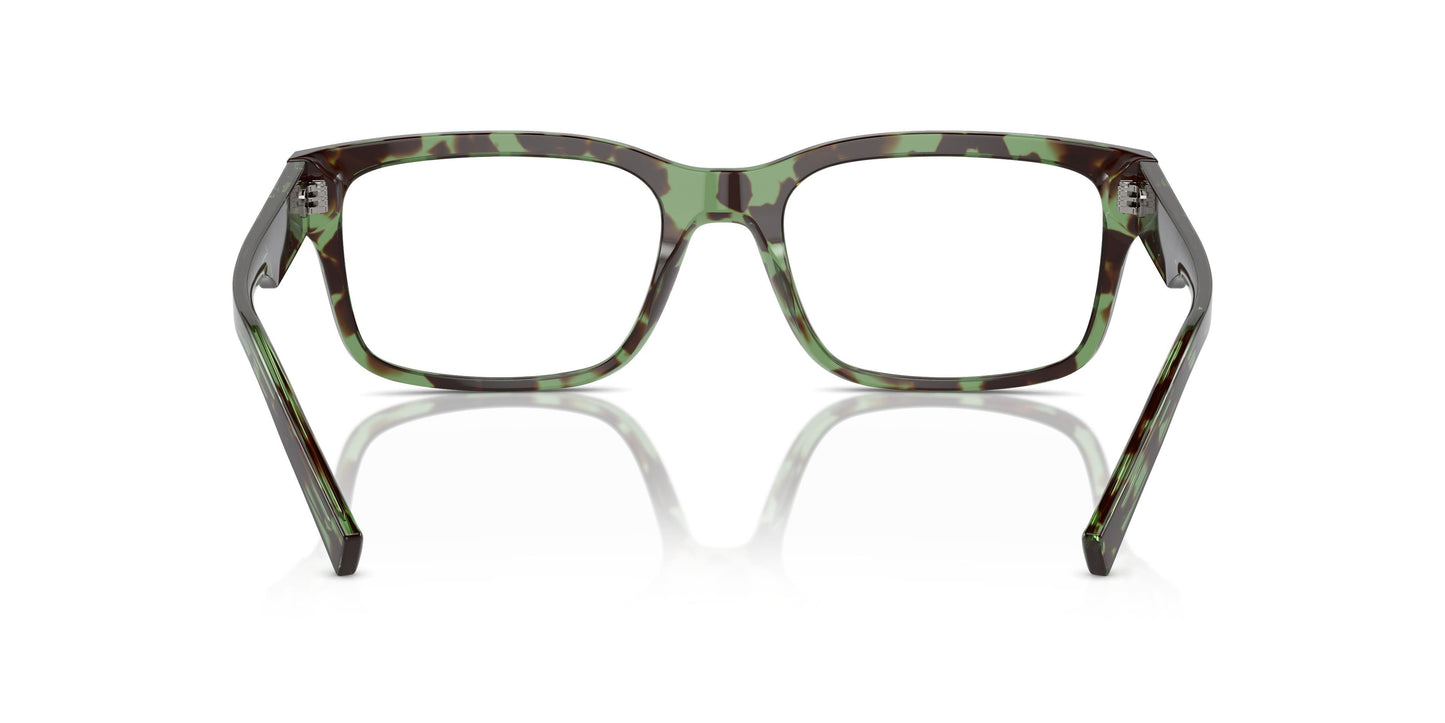 Dolce & Gabbana DG3352 3432 55