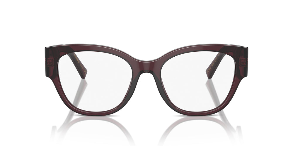 Dolce & Gabbana DG3377 3045 53