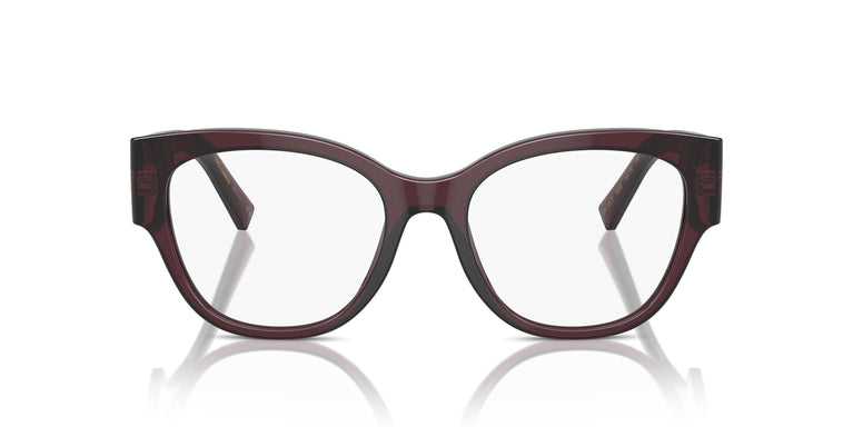 Dolce & Gabbana DG3377 3045 53